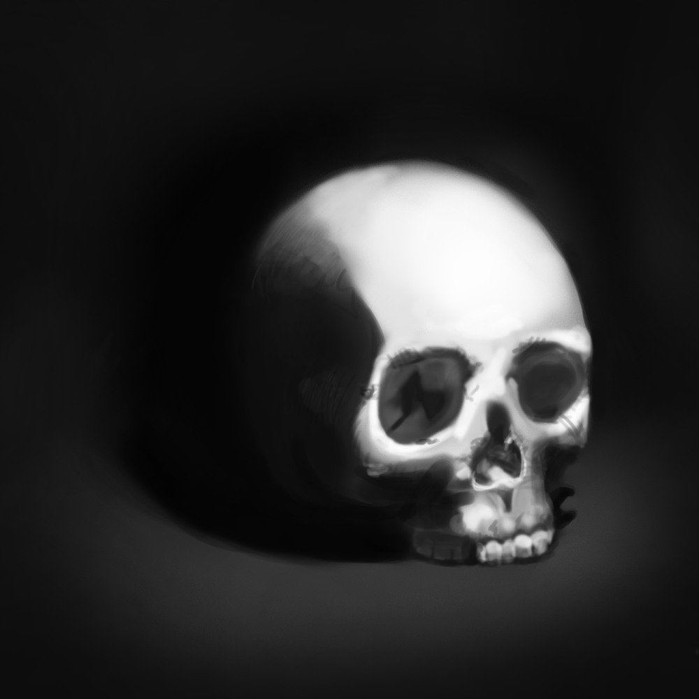 Skull Study